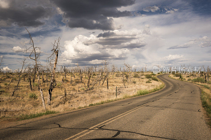 梅萨佛得角的 Chapin Mesa Road